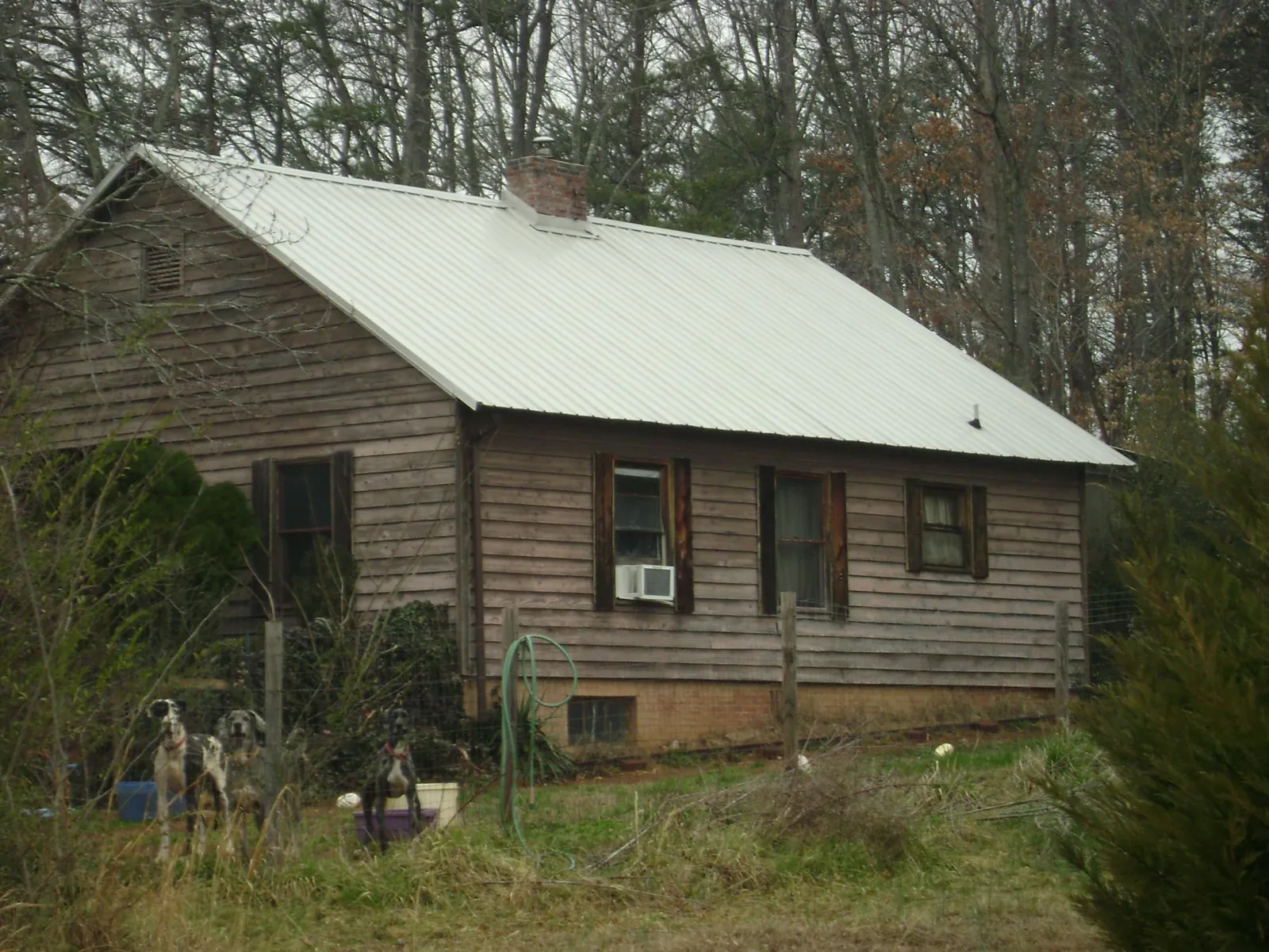 White metal roof on an old wood sided farmhouse, from a Asphalt Shingle Roof Repair job in Fairchance